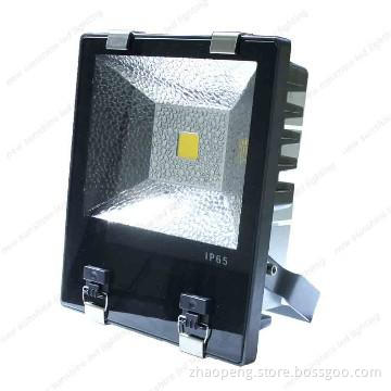 Latest Design 2 PIN Wires 100w LED Flood Light to replace 300W CFL